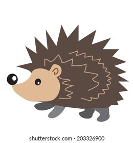 Hedgehog vector illustration
