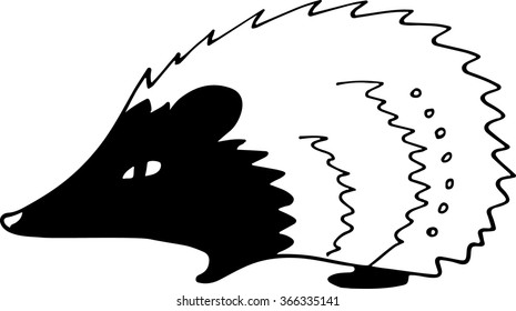 Hedgehog vector illustration. Black and white sketch