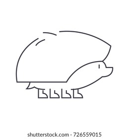 hedgehog vector line icon, sign, illustration on background, editable strokes