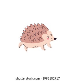 Hedgehog Vector On White Background