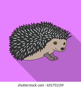 Hedgehog.Animals single icon in flat style vector symbol stock illustration web.