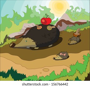 Hedgehogs