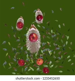 Hedgehogs and apples Vector illustration