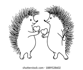 Hedgehogs in love give each other hearts. Valentine's Day. The illustration is drawn in doodle style by outline. Vector.