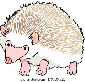 Hedgehogs are small animals with needle-like hair.