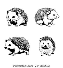 Hedgehogs - wild animals, vector design of hedgehogs isolated on white background