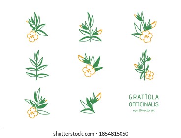 Hedgehyssop - vector icons set. Symbol for web, infographics, print design and mobile UX/UI kit. Vector illustration, EPS10.