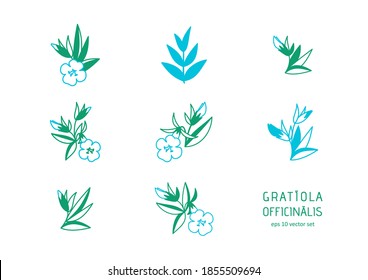 Hedgehyssop - vector icons set. Symbol for web, infographics, print design and mobile UX/UI kit. Vector illustration, EPS10.