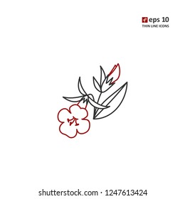 Hedgehyssop - vector thin line icon on white background. Symbol for web, infographics, print design and mobile UX/UI kit. Vector illustration, EPS10.