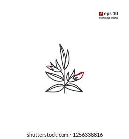 Hedgehyssop - vector thin line icon on white background. Symbol for web, infographics, print design and mobile UX/UI kit. Vector illustration, EPS10.