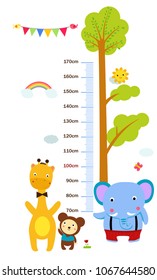Height chart animals