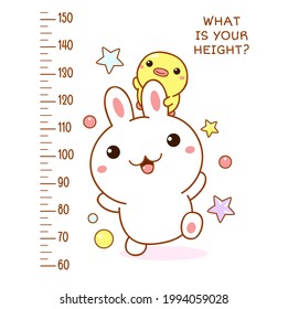 Height Chart With Kawaii Bunny And Duckling. Kids Meter With Cute Little Duck And Rabbit Friends. Inscription - What Is Your Height? Meter Wall Or Baby Scale Of Growth. Vector EPS8