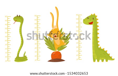Height Children Chart With African Cute Animal Characters Vector Illustrated Set