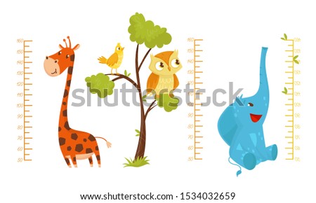 Height Children Chart With African Cute Animal Characters Vector Illustrated Set
