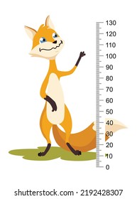 Height measure with growth ruler chart with cute cartoon fox animal. Funny kids meter, wall scale from 0 to 130 centimeter to measure growth. Children room wall sticker as interior decor