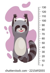 Height measure with growth ruler chart with cute cartoon raccoon animal. Funny kids meter, wall scale from 0 to 130 centimeter to measure growth. Children room wall sticker as interior decor