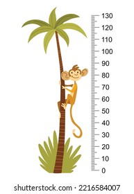 Height measure with growth ruler chart with cute cartoon monkey on palm tree. Funny kids meter, wall scale from 0 to 130 centimeter to measure growth. Children room wall sticker as interior decor