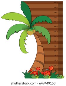 height measurement chart with coconut tree illustration