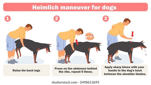 Maniobra de Heimlich aplicando para perros infografía plana