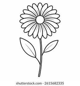 helenium flower line art on white background