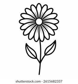helenium flower line art on white background