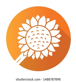 Helianthus  orange flat design long shadow glyph icon. Sunflower head. Field blooming flower. Agriculture symbol. Wild plant. Summer blossom. Vector silhouette illustration