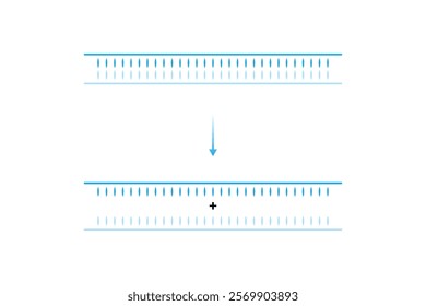 Helicase Enzyme Function Science Design. Vector Illustration.