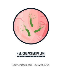Icono de la bacteria Helicobacter pylori. Bacteria espiral gramnegativa que vive en el piloro del estómago. Salud, medicina y concepto de biología. Ilustración vectorial plana de infección