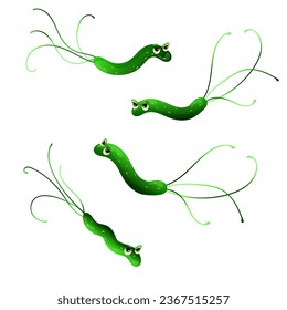 Helicobacter pylori cartoon characters. Vector illustration isolated on white background

