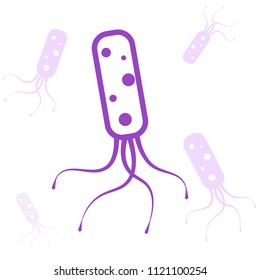 683 Helicobacter pylori Stock Vectors, Images & Vector Art | Shutterstock