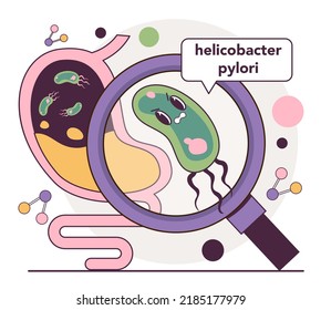 Helicobacter pylori in the stomach. Bacterium with flagella that causes gastritis. Gases problem, bloating and bad smell reason. Flat vector illustration