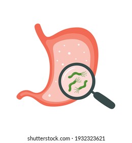 Helicobacter Pylori in the stomach. Stomach diseases. Bacterium with flagella that causes gastritis. Magnifying glass with bacteria under. Isolated vector illustration on white background