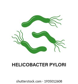 Helicobacter Pylori. Stomach diseases. Bacterium with flagella that causes gastritis. Isolated vector illustration on white background