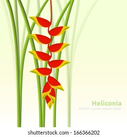 Heliconia Flower