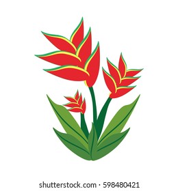 heliconia flower spring image vector illustration eps 10