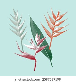 Heliconia illustration, halftone vector line drawing on green background.