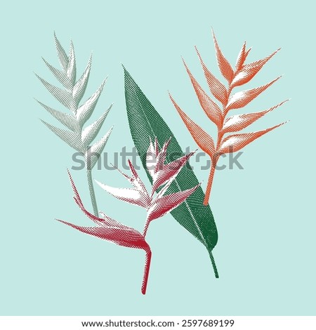 Heliconia illustration, halftone vector line drawing on green background.