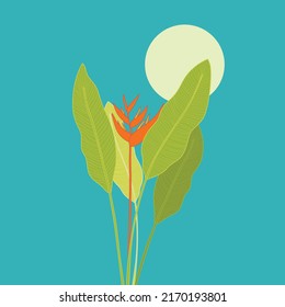 Heliconia leaves and flower tropical leaves, foliage plant in evening time, colorful summer background. Vector design illustration.