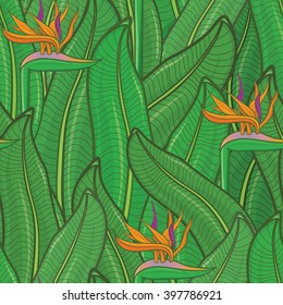 Heliconia multicolor bright seamless pattern, botanical vector illustration. Tropical jungle seamless background. Strelitzia and banana leaves pattern