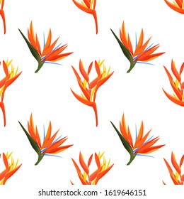 Heliconia and strelizia flowers vector illustration. Tropical orange plants background.