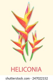 Heliconia Vector Polygon
