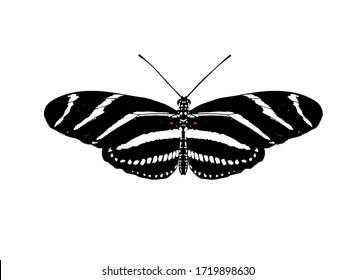 Heliconius charithonia, la zebra larga o el heliconio cebra, es una especie de mariposa perteneciente a la subfamilia Heliconiinae de la familia Nymphalidae. Primero fue descrito por Carl Linnaeus