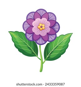 Heliotrope Flower Illustration on White Background