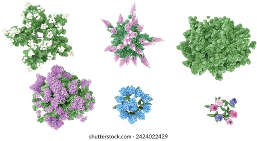 Heliotropium arborescens,hyacinths,Calycanthus chinensis,Astilbe Japonica,Viburnum flowers plants from the top view isolated white background