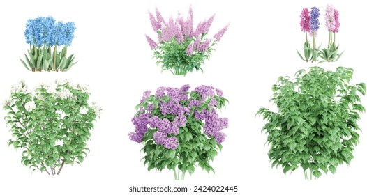 Heliotropium arborescens,hyacinths,Calycanthus chinensis,Astilbe Japonica,Viburnum flowers plants collection with realistic style