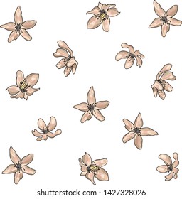 Hellebore flower pattern isolated on white in vector