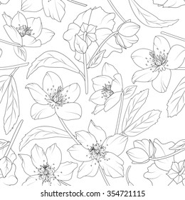 Hellebore flowers blossom seamless pattern. Winter rose. Christmas rose. Lenten rose. Black outline on white background. Vector illustration. Lily, poppy flowers pattern. Peonies flowers pattern. 