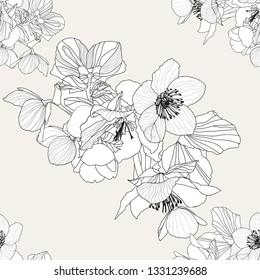 Hellebores flowers and leaves in white colour and  black outline on light grey shade background seamless vector pattern.
