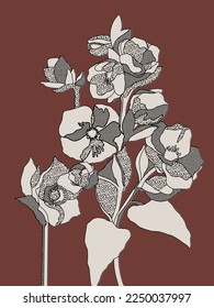 Helleborus  flowers illustration. Vector minimal art