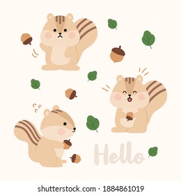 Hello animal friend squirrel acorn